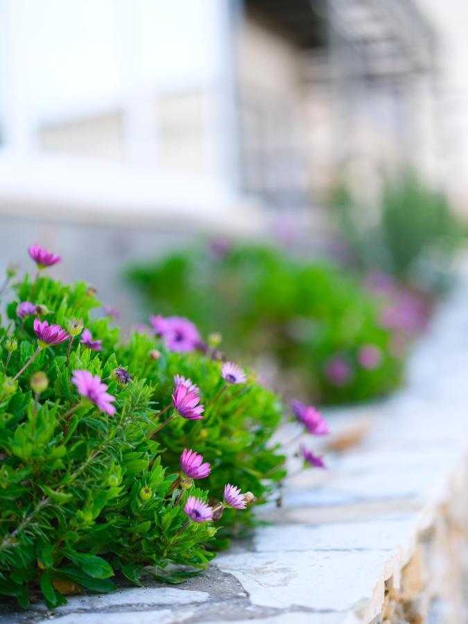 Apartamento Sunset House Vlorë